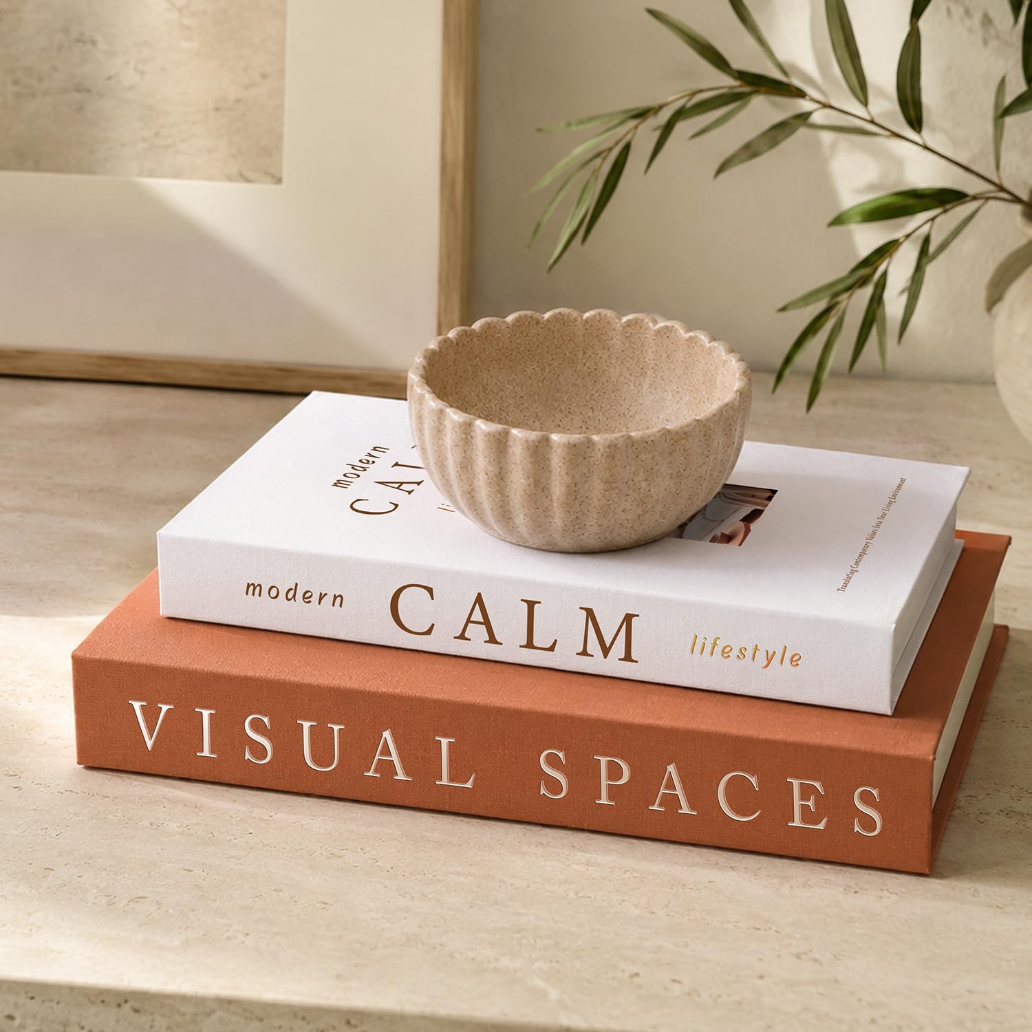 Minimalist Decorative Books — Set of 2 decorative books